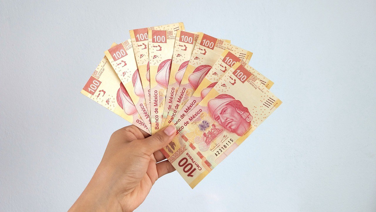 Cuál es la diferencia entre salario bruto y salario neto?